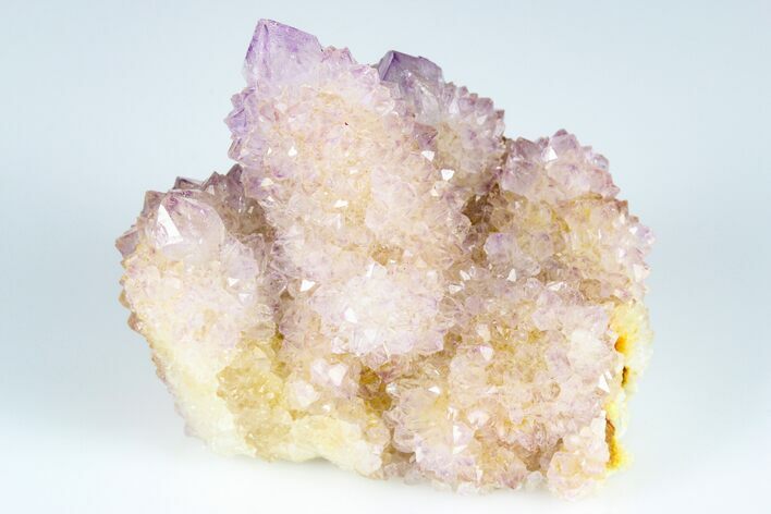 Cactus Quartz (Amethyst) Crystal Cluster- South Africa #183044